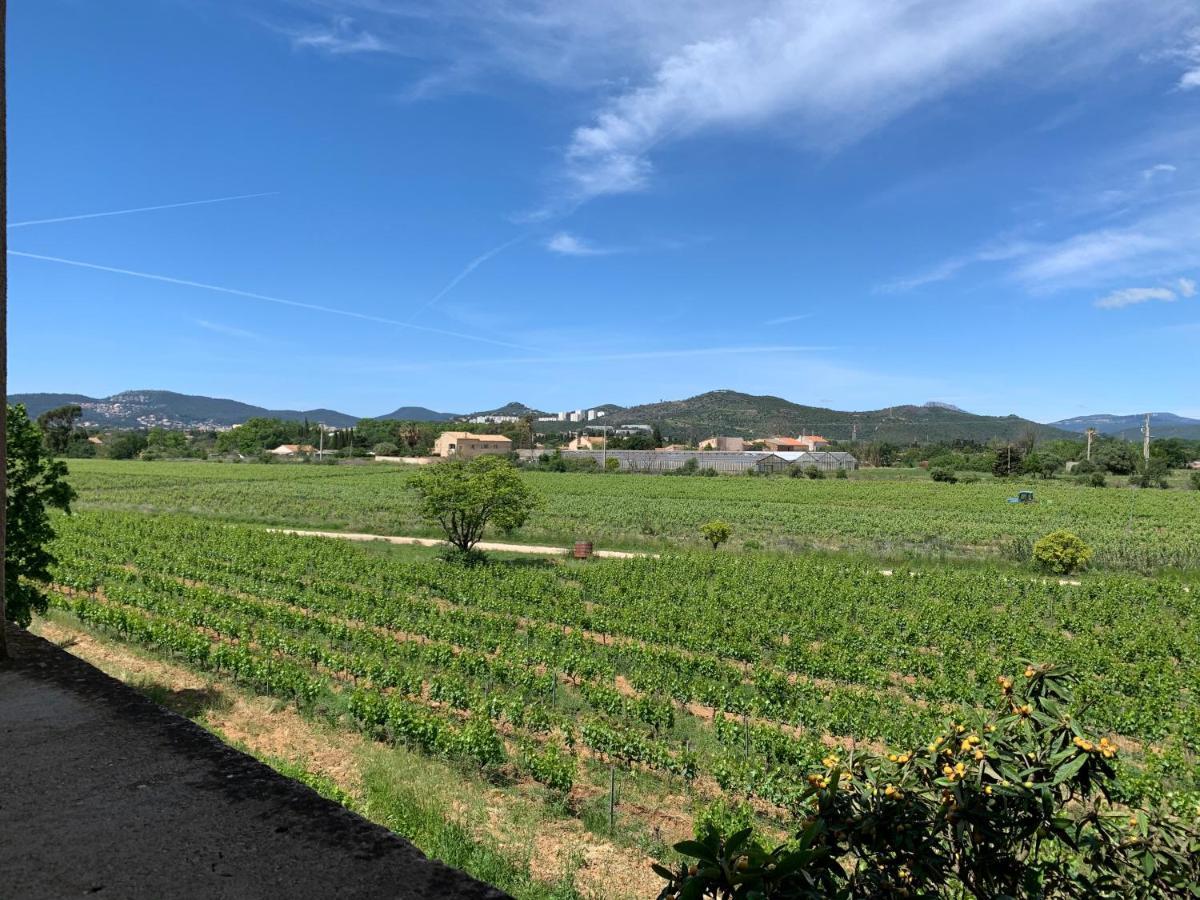 Le Chateau Des Anglades Hyeres Exterior photo