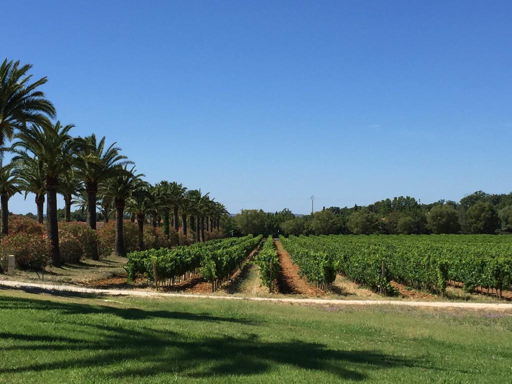 Le Chateau Des Anglades Hyeres Exterior photo