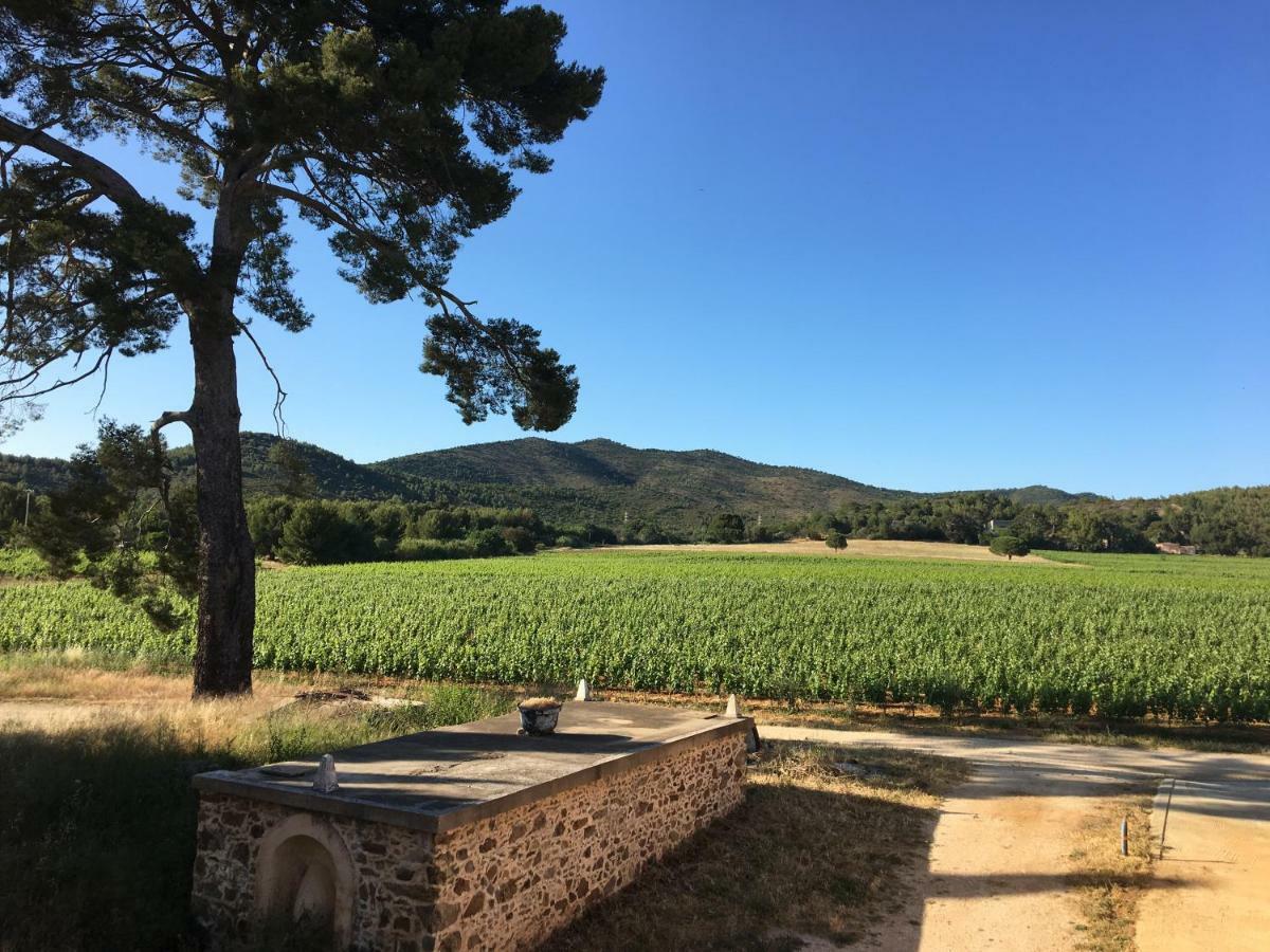 Le Chateau Des Anglades Hyeres Exterior photo